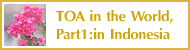 TOA in the World, Part1:in Indonesia
