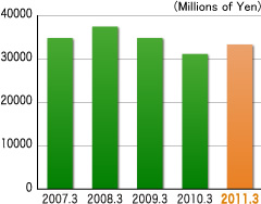 Net Sales