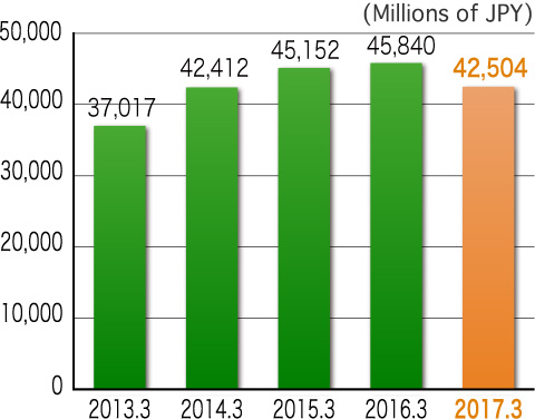 Net Sales