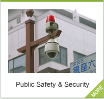 Public Safety & Security