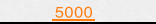 5000